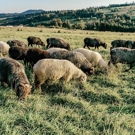 Domki Pod Wulkanem Krosnica  Bagian luar foto